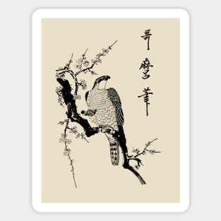 Hawk on a branch Sticker